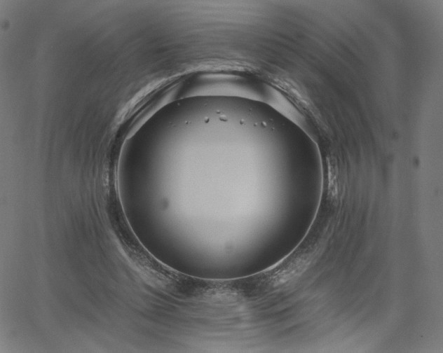 X0000066100348200603101147