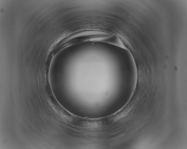 X0000066100349200603101147