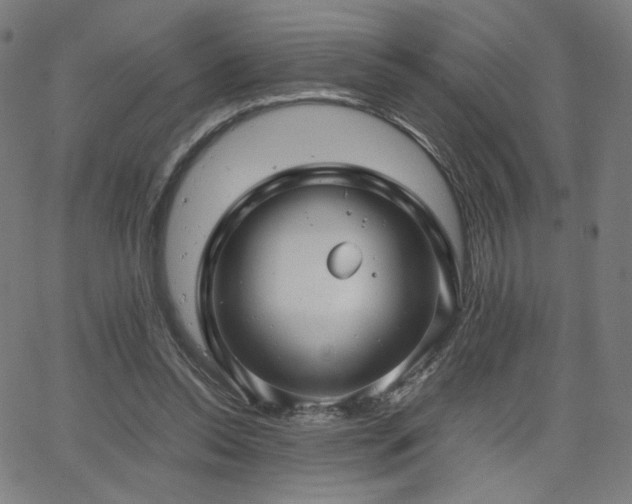 X0000066100350200603101147