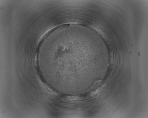 X0000066100351200603101147