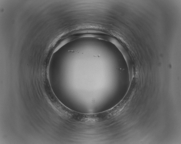 X0000066100352200603101147