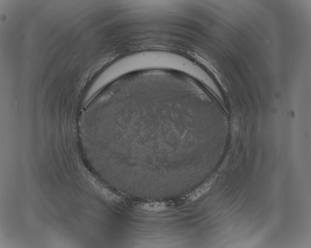 X0000066100353200603101147