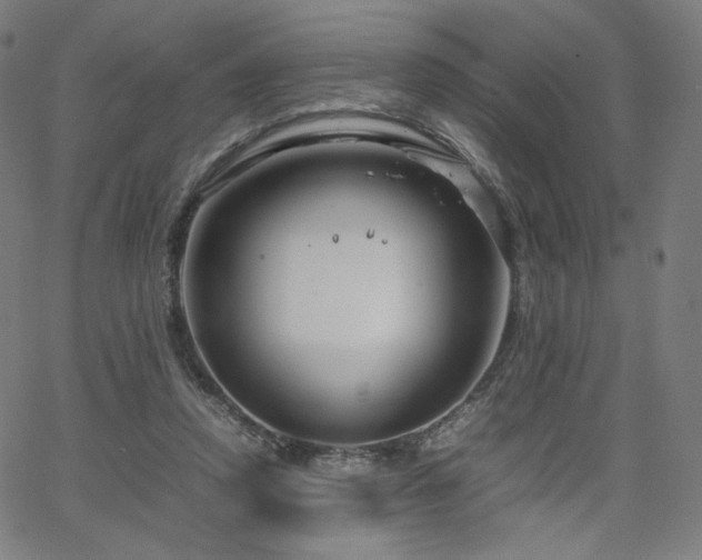 X0000066100354200603101147