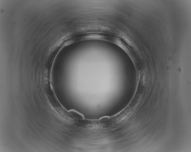 X0000066100356200603101147