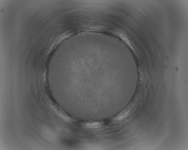 X0000066100357200603101147