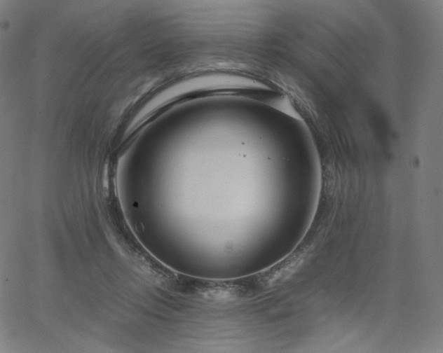 X0000066100358200603101147