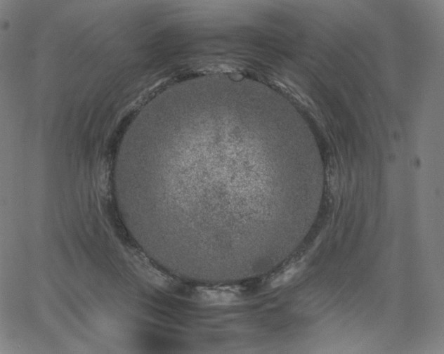 X0000066100359200603101147