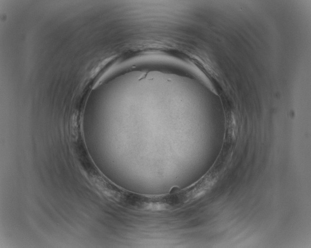 X0000066100360200603101147