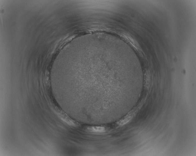 X0000066100361200603101147