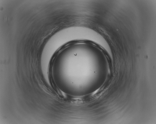 X0000066100362200603101147