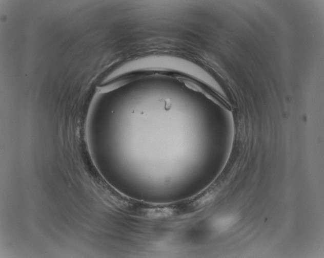 X0000066100363200603101147