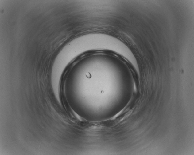 X0000066100364200603101147