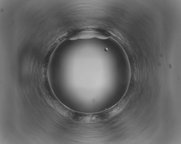 X0000066100366200603101147