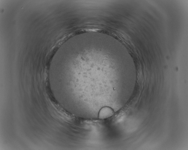 X0000066100367200603101147