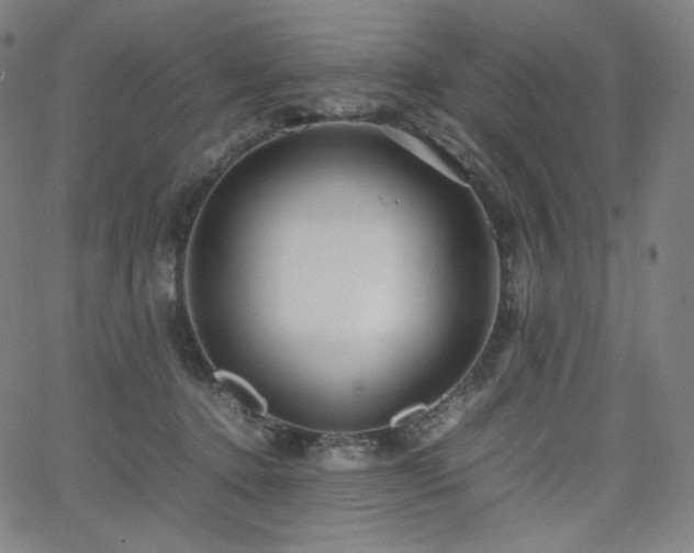 X0000066100368200603101147