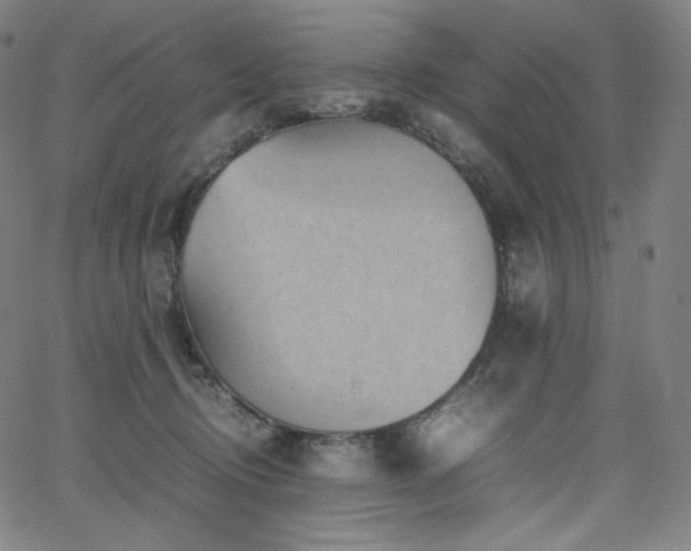 X0000066100370200603101147