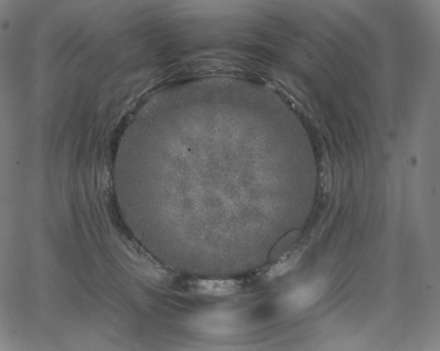 X0000066100371200603101147