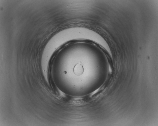 X0000066100372200603101147