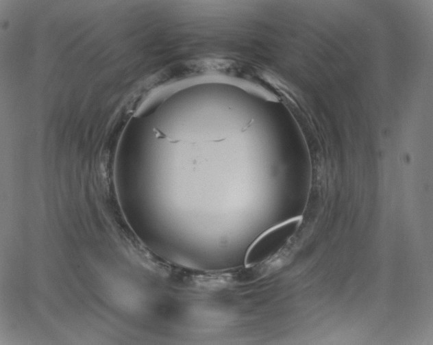 X0000066100373200603101147