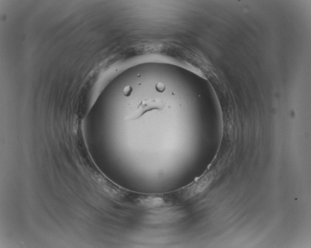 X0000066100374200603101147