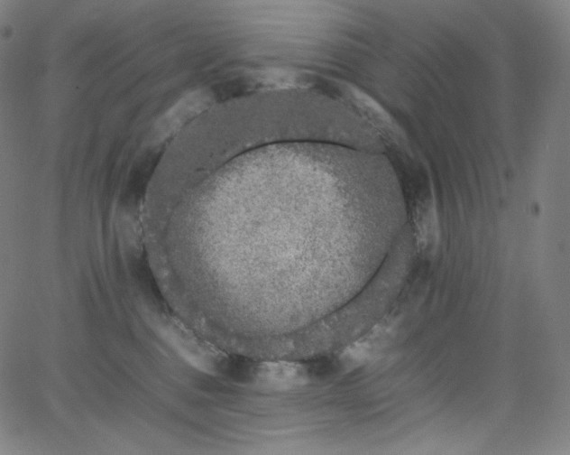 X0000066100376200603101147