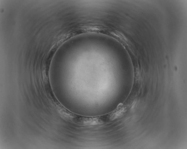 X0000066100377200603101147