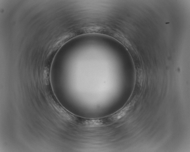 X0000066100378200603101147