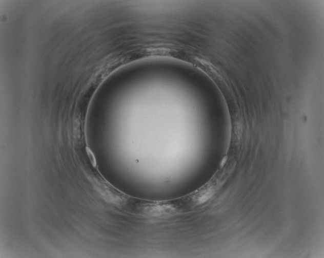 X0000066100379200603101147