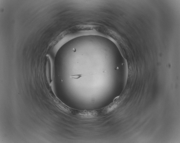 X0000066100381200603101147