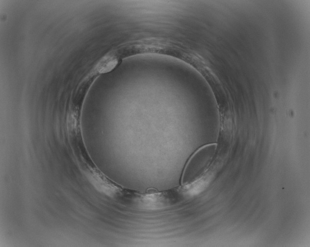 X0000066100382200603101147