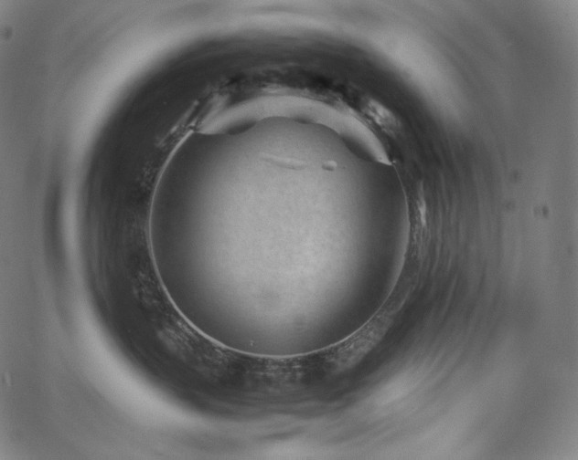 X0000066100383200603101147