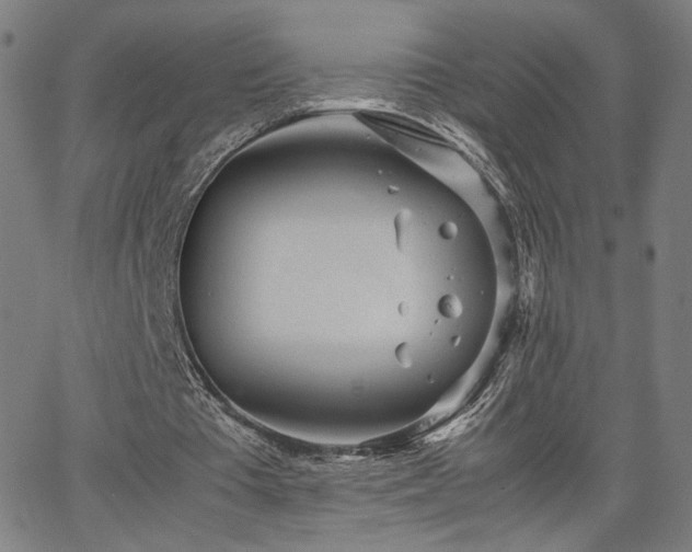 X0000066100385200603101146