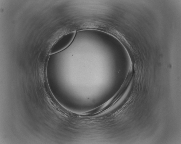 X0000066100386200603101146