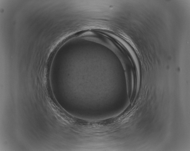 X0000066100387200603101146