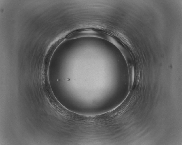 X0000066100388200603101146