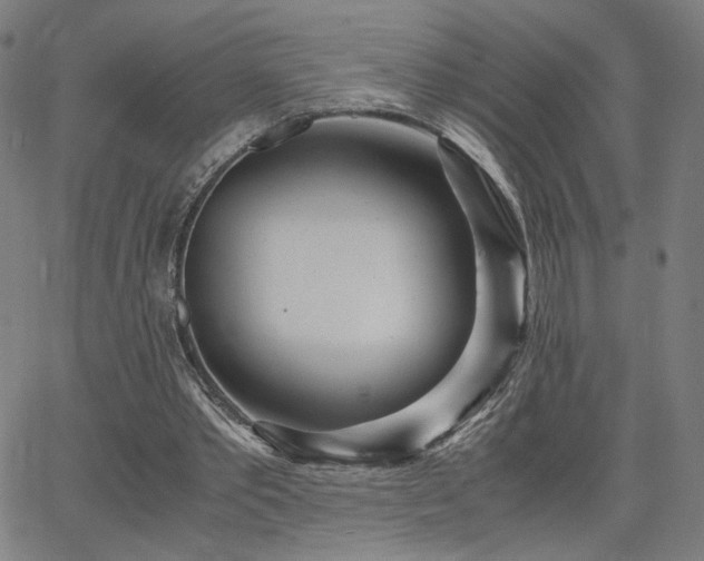 X0000066100389200603101146