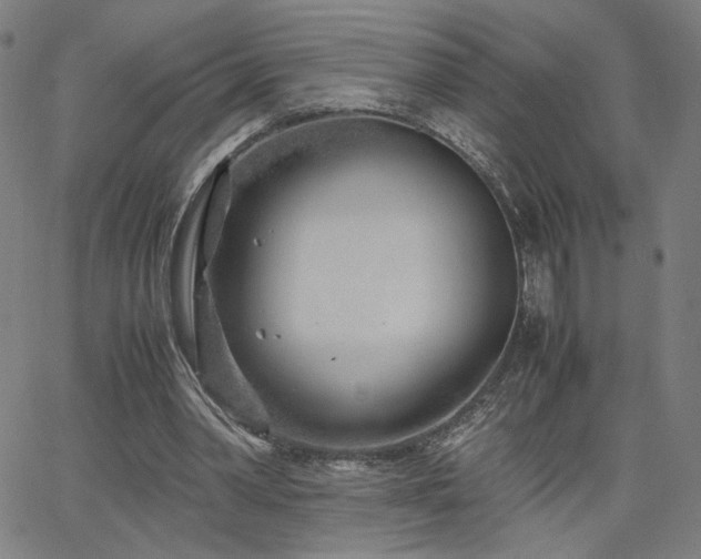 X0000066100390200603101146