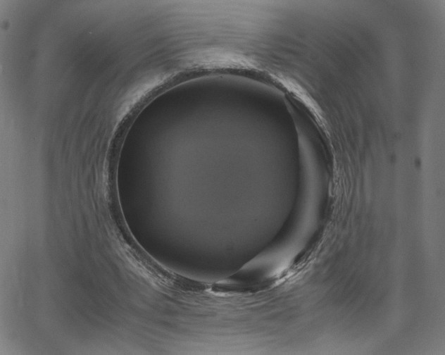 X0000066100391200603101146