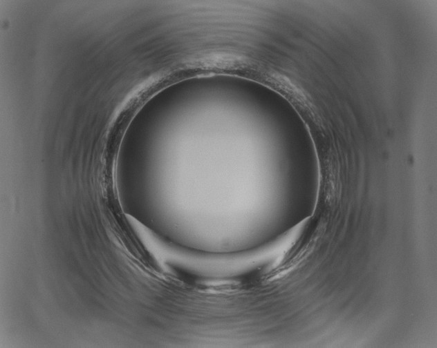 X0000066100392200603101146