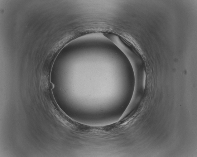 X0000066100393200603101146