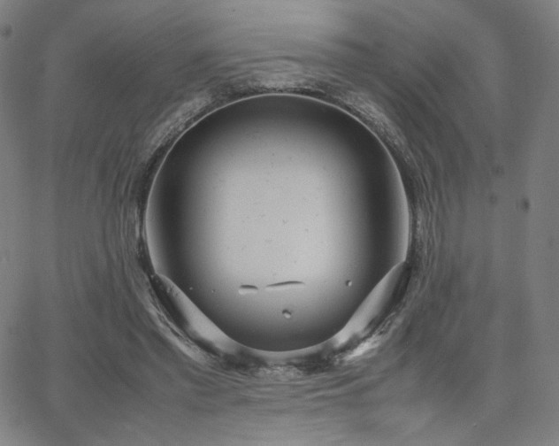 X0000066100397200603101146