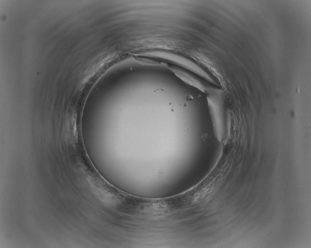 X0000066100398200603101146