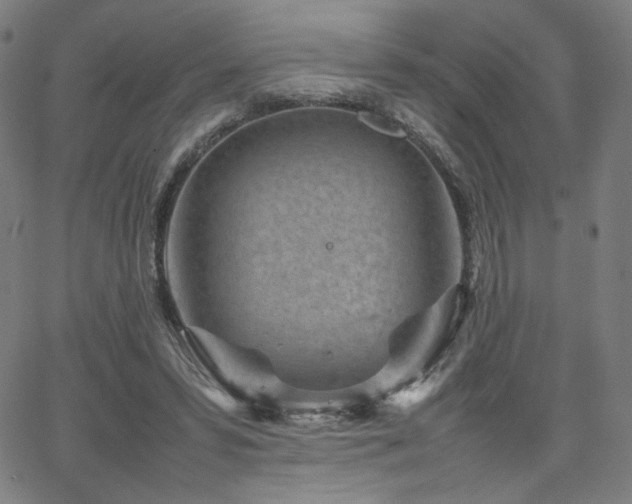 X0000066100399200603101146