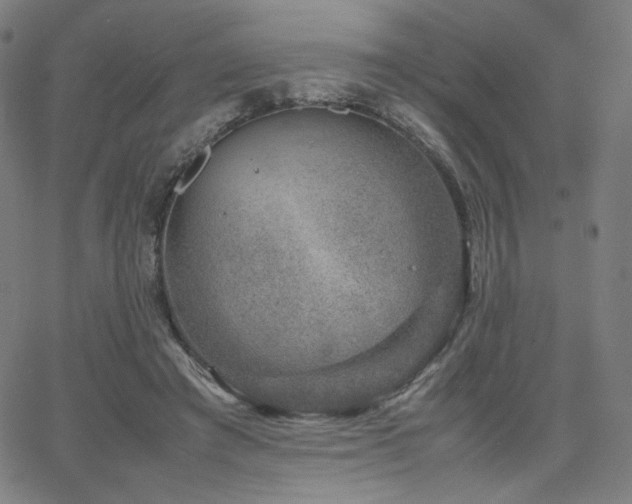 X0000066100401200603101146