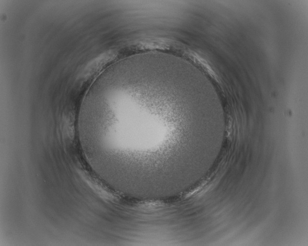 X0000066100402200603101146