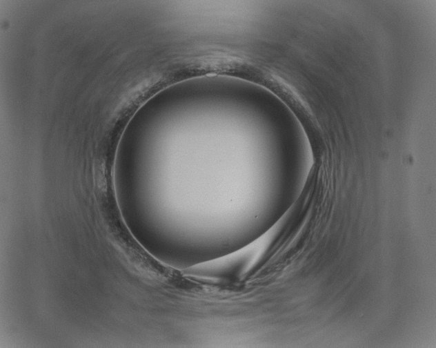 X0000066100403200603101146