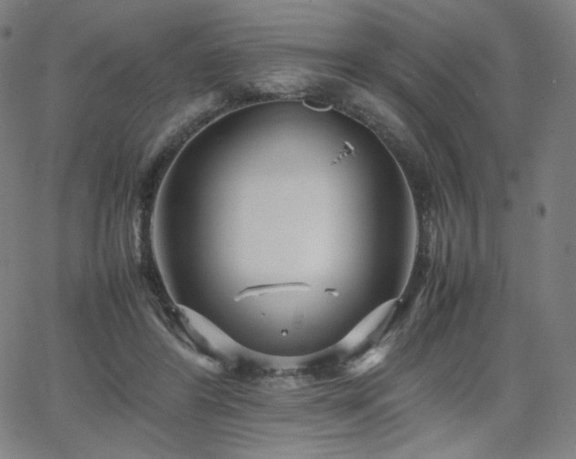 X0000066100404200603101146