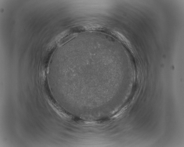 X0000066100405200603101146