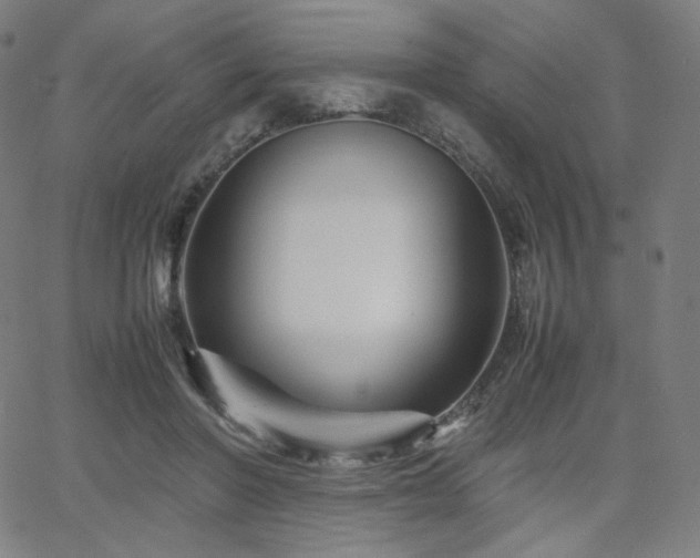 X0000066100406200603101146