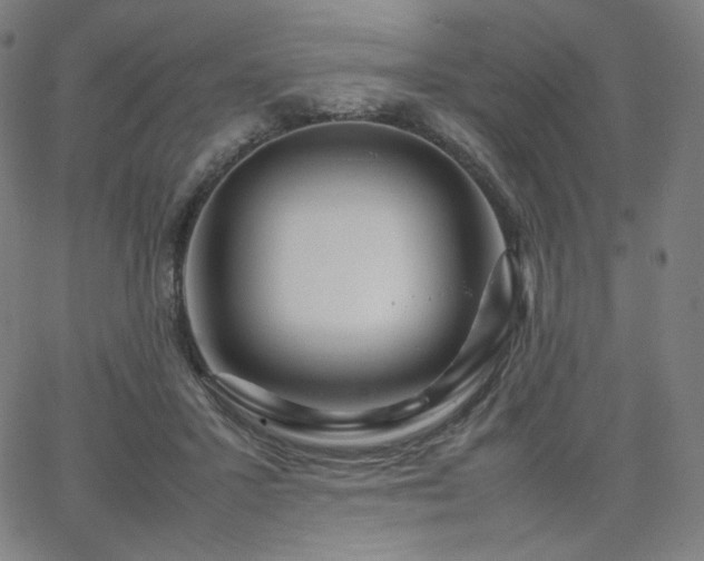 X0000066100407200603101146